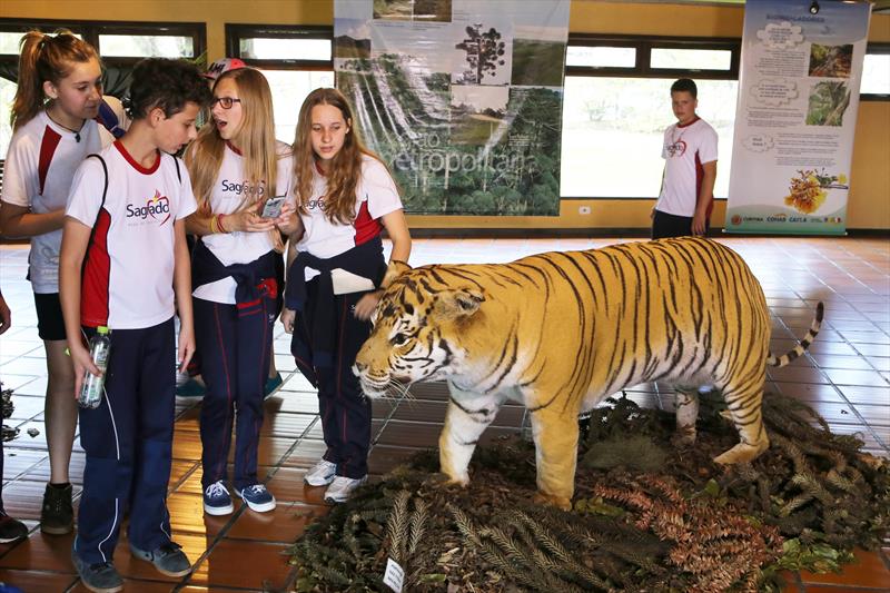 Jardim Botânico expõe animais empalhados do acervo do ...