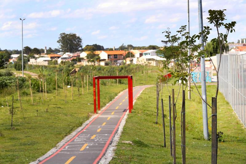 Plano de arborização coloca 139 mil árvores em Curitiba desde 2013
Foto:Cesar Brustolin/SMCS(arquivo)