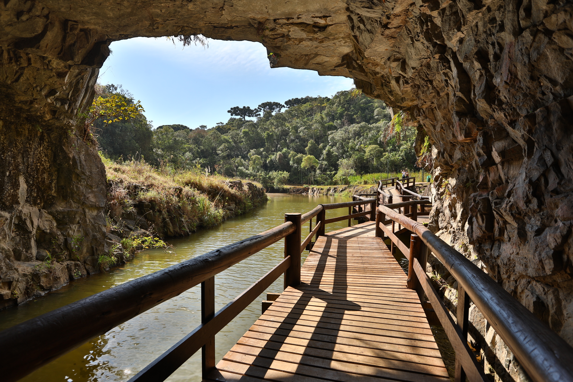 A partir de julho, túnel do Parque Tanguá terá visitação guiada -  Prefeitura de Curitiba