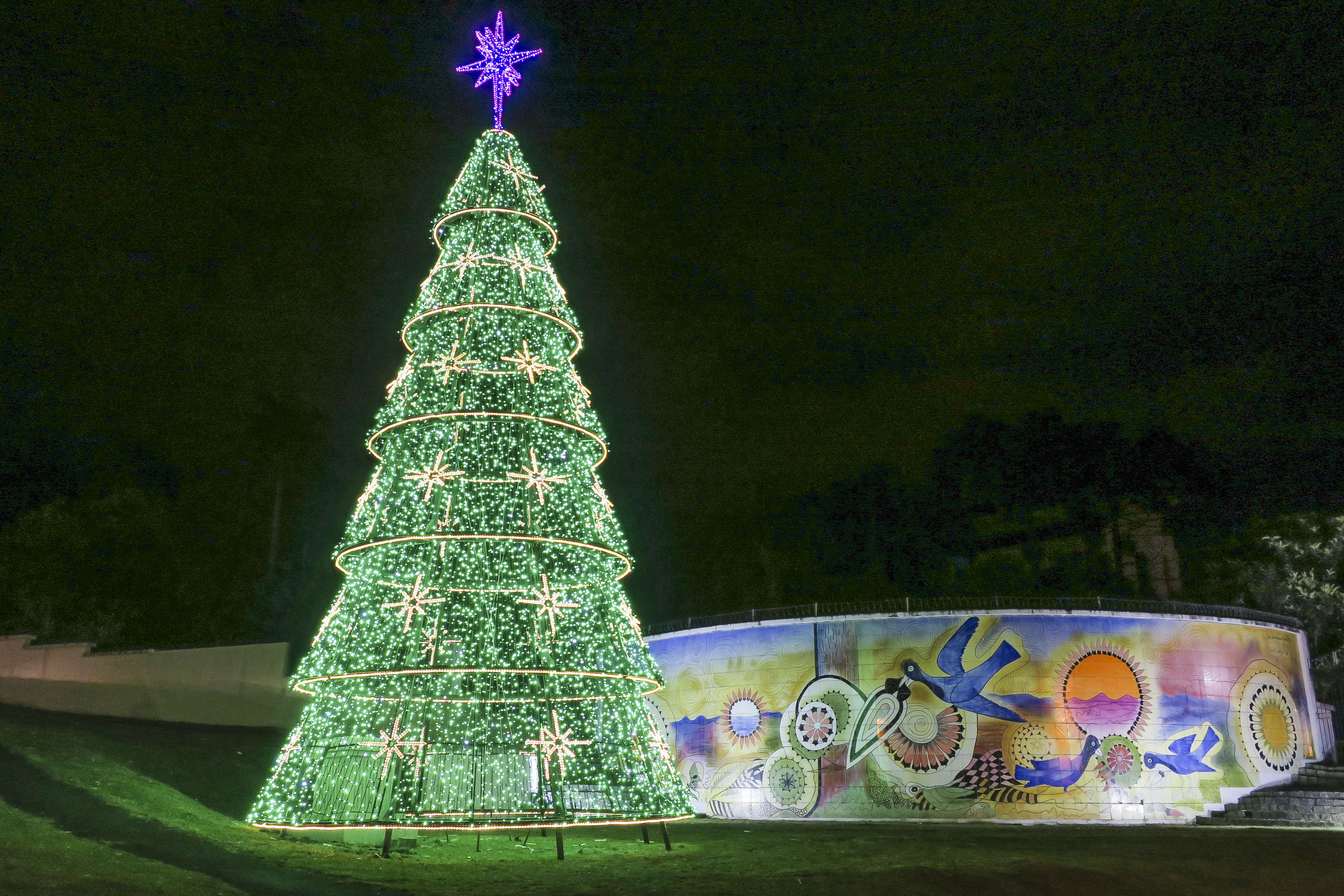 Phonetics fingerprint carefully Árvores de Natal iluminam Curitiba: veja onde admirar a decoração da cidade  - Prefeitura de Curitiba