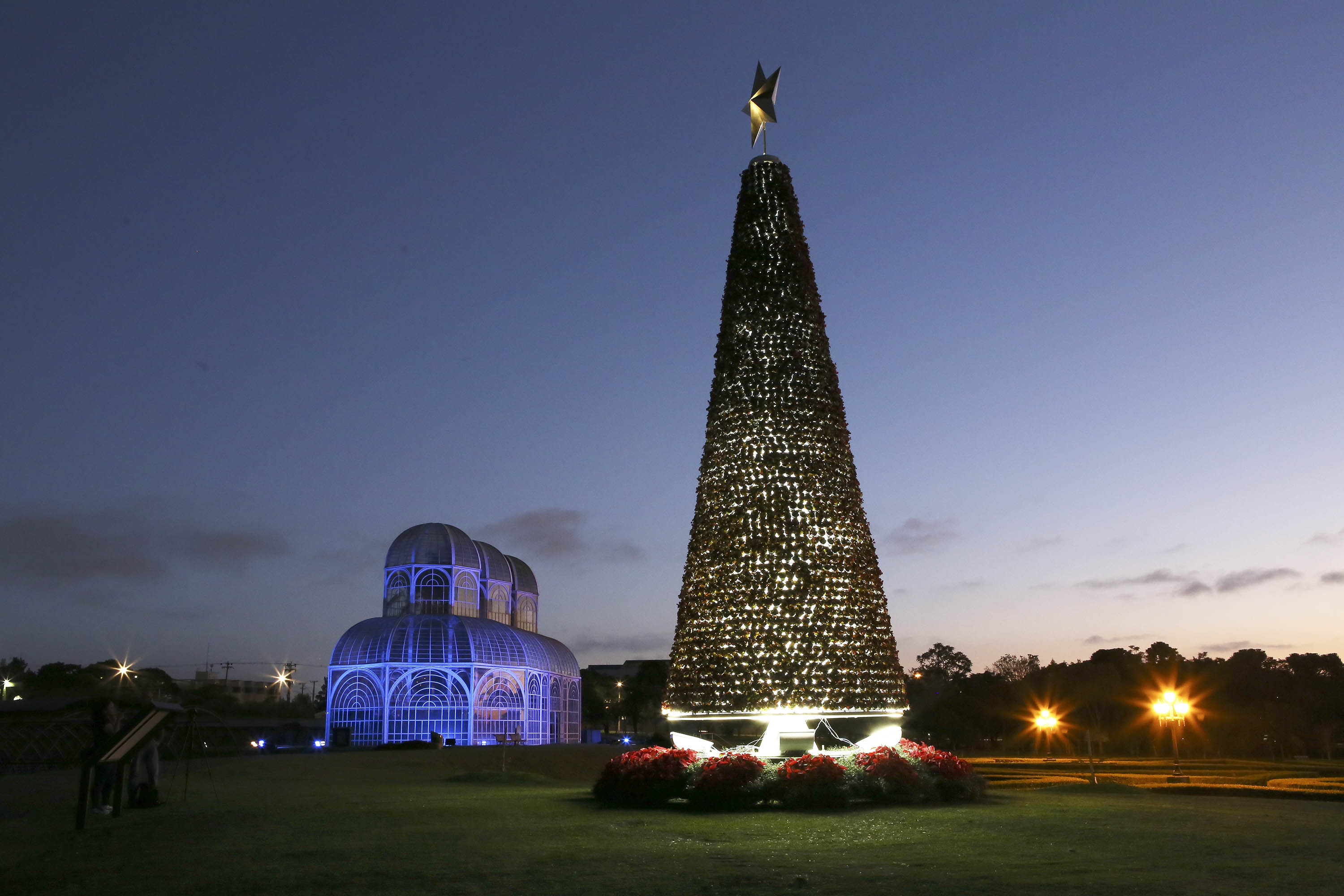 Árvores de Natal iluminam Curitiba: veja onde admirar a decoração da cidade - Prefeitura de Curitiba