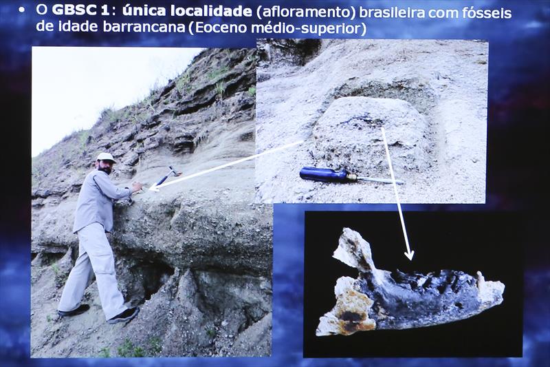 Curitiba vai contar com uma reserva de interesse geológico e paleontológico de relevância científica em uma área de 16 hectares, pertencente à Curitiba S.A, situada às margens da BR-277, próxima do Contorno Sul, na CIC.
Curitiba, 08/02/2018
Foto:Divulgação/UFPR