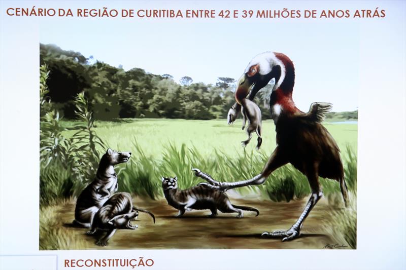 Curitiba vai contar com uma reserva de interesse geológico e paleontológico de relevância científica em uma área de 16 hectares, pertencente à Curitiba S.A, situada às margens da BR-277, próxima do Contorno Sul, na CIC.
Curitiba, 08/02/2018
Foto:Divulgação/UFPR
