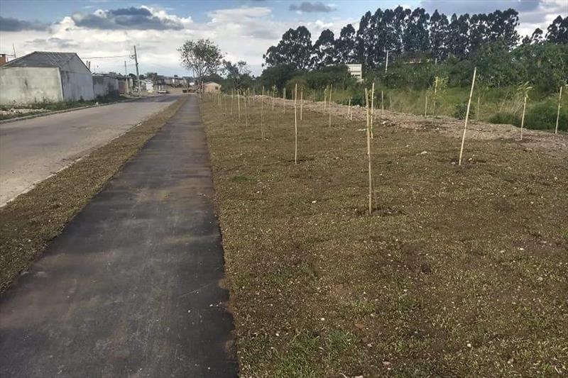 Obras da Prefeitura melhoram a vida dos moradores da Regional Cajuru.
 - Na imagem, Jardim Acrópole.
Foto: Divulgação