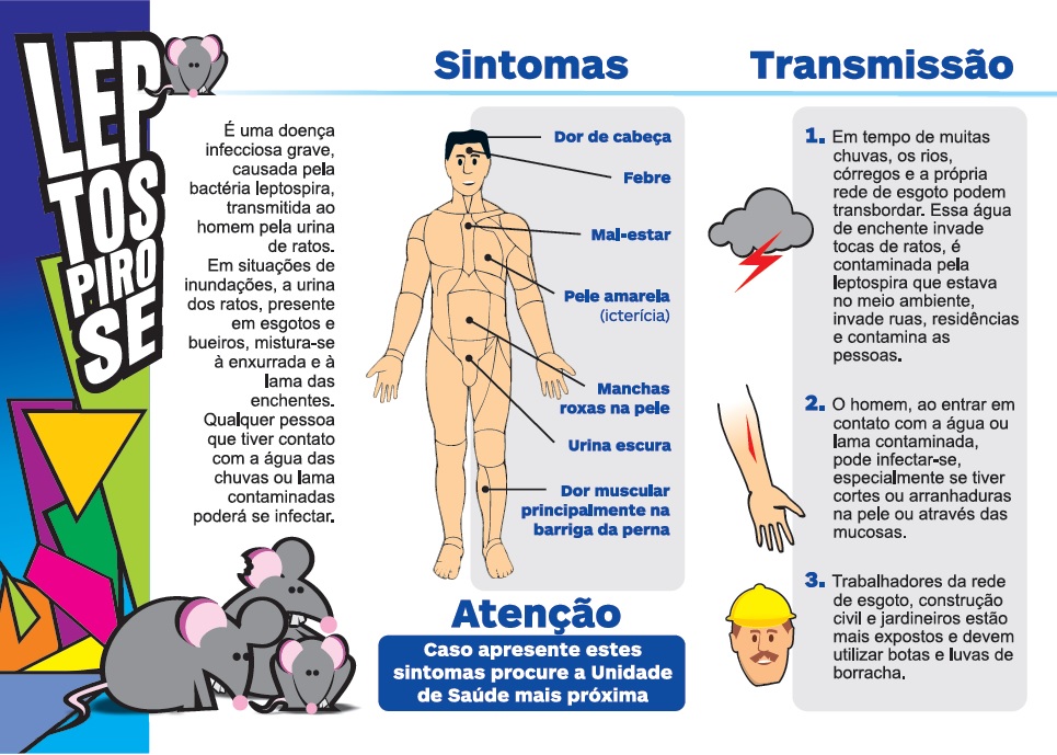 Secretaria da Saúde alerta população para os sintomas da leptospirose ...