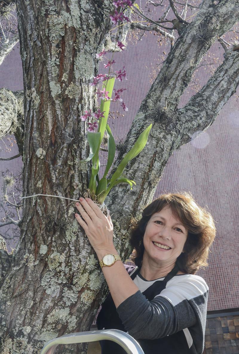 Prefeito Rafael Greca visita Orquidário Trend Home Soho, projeto "Se Essa Rua Fosse Minha" na Alameda Princesa Izabel no Batel. Na imagem, Marilza Dias, secretária municipal do Meio Ambiente.  Curitiba, 15/06/2019.
Foto: Levy Ferreira/SMCS

