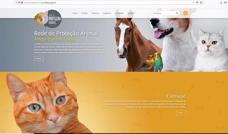 Novo site vai facilitar acesso à castração gratuita de cães e gatos.
