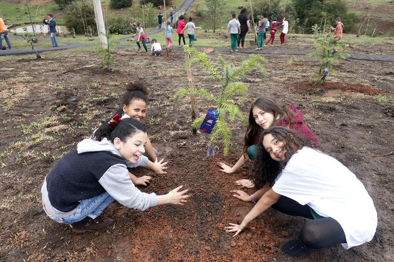 Lançamento do Desafio 100 mil Árvores, que incentiva o plantio desta quantidade de mudas na cidade. Curitiba, 20/09/2019. Foto: Lucilia Guimarães/SMCS
