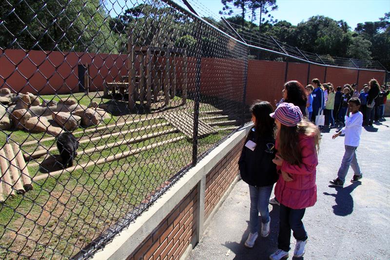 Zoo de Curitiba pleiteia certificação de bem-estar animal.
Foto: Valdecir Galor/SMCS (arquivo)
