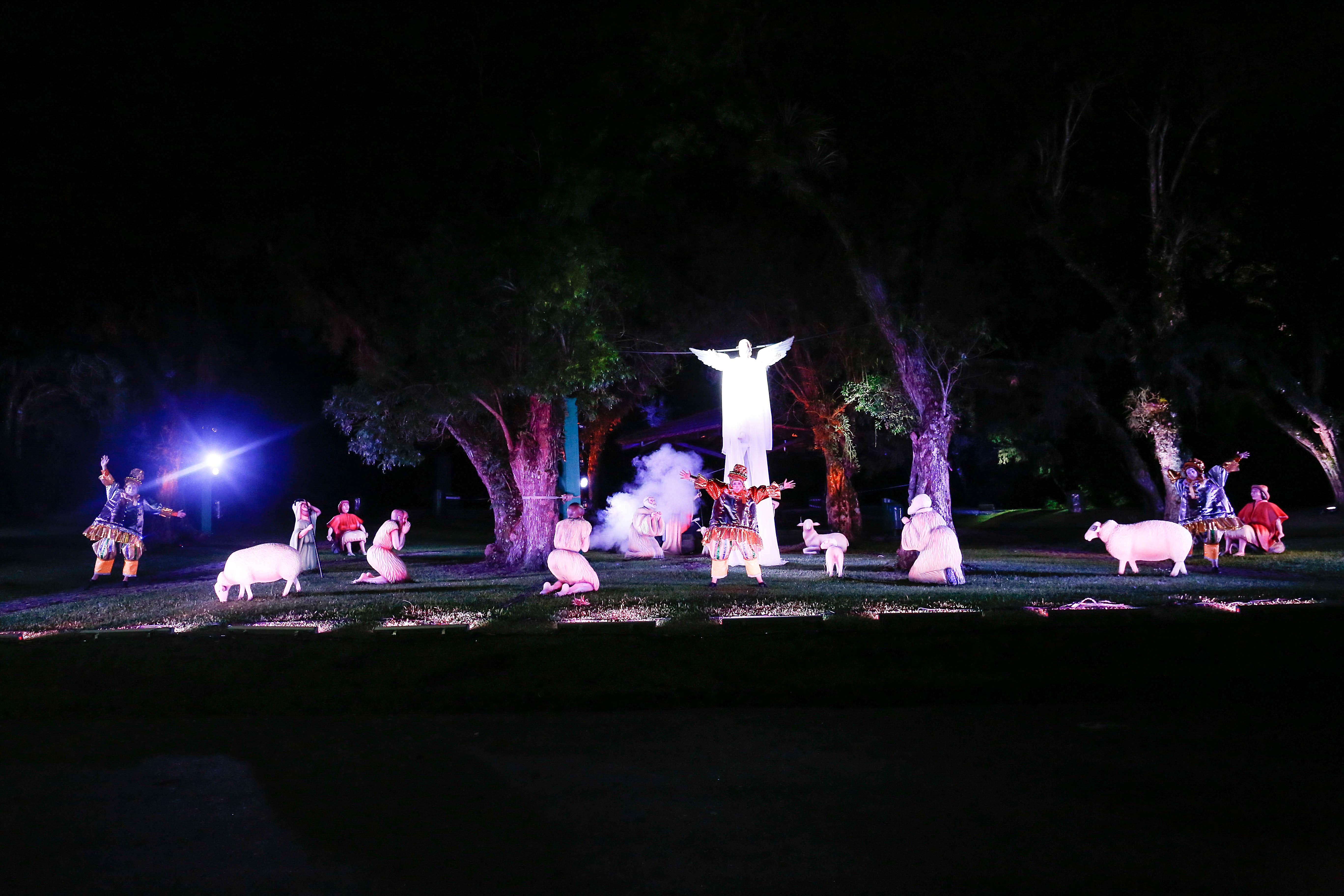 Caminho de Luz leva experiência natalina inédita ao Parque Barigui Prefeitura de Curitiba Caminho de Luz leva experiência natalina inédita ao Parque Barigui Prefeitura de Curitiba