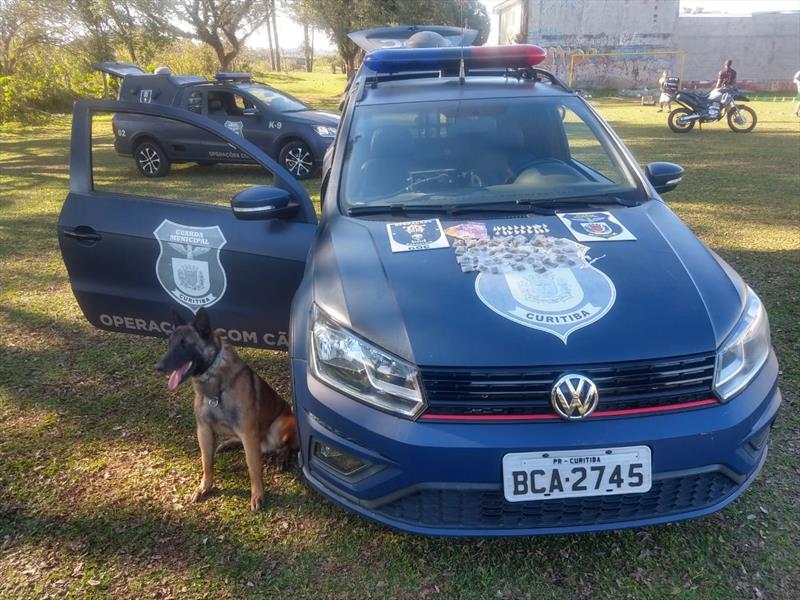 Cães da Guarda Municipal auxiliam em apreensão de drogas na CIC. Foto: Divulgação