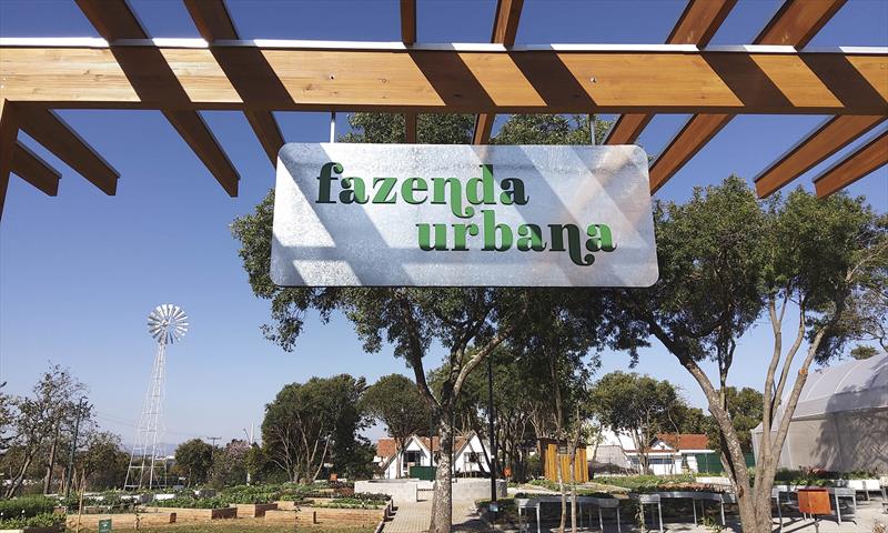 Fazenda Urbana vai testar 12 projetos inovadores de agricultura e otimização de recursos.
Foto: Andre Prokofiev/SMCS