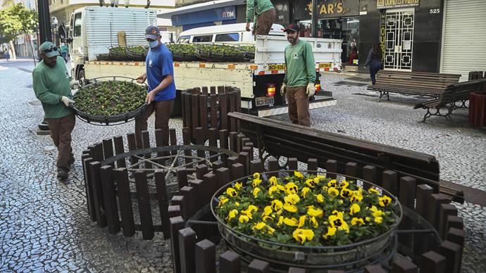 Equipes da produção vegetal trocam vasos das floreiras da XV, por flores amarelas em razão da 
da campanha de segurança no trânsito.
Curitiba, 18/05/2020.
Foto; Luiz Costa /SMCS 