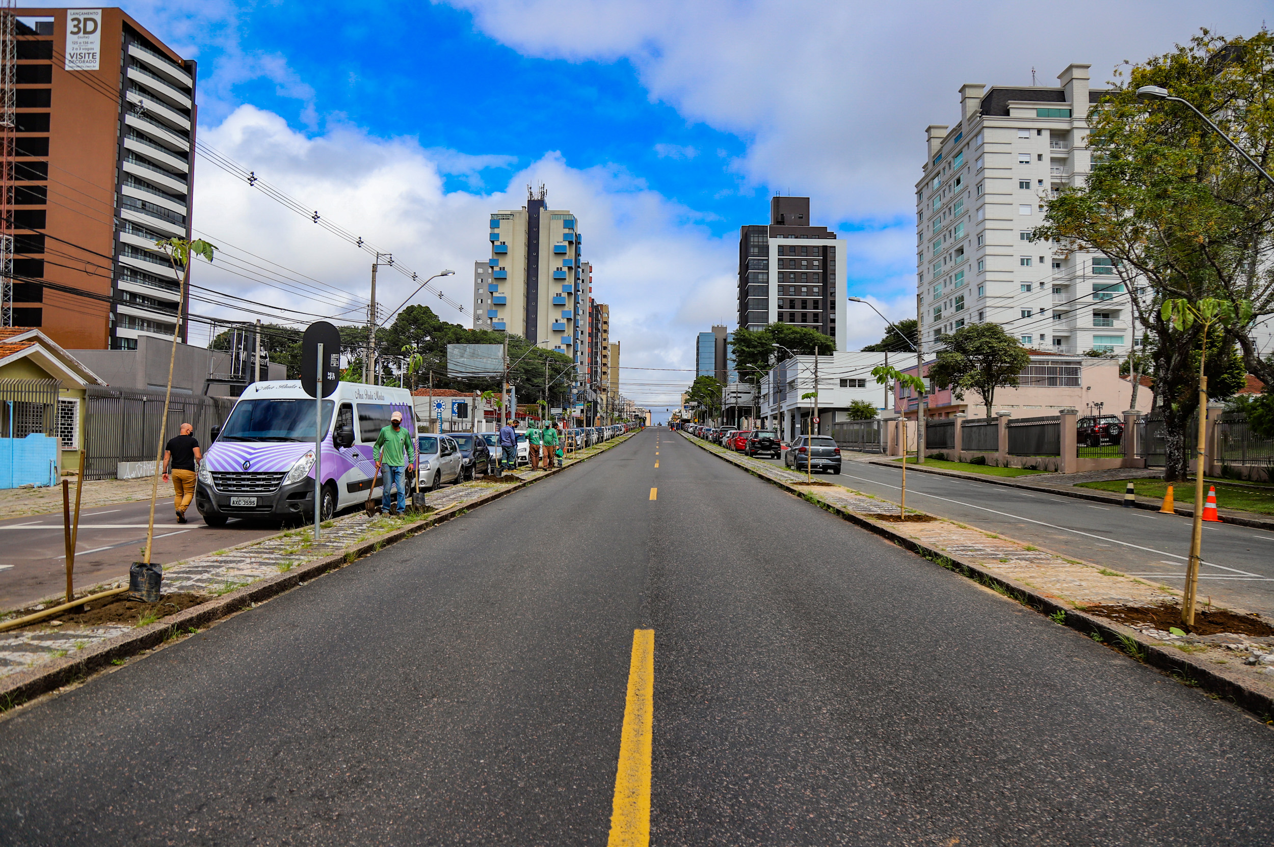 Novo desafio começa com plantio de ipês roxos na Avenida Paraná