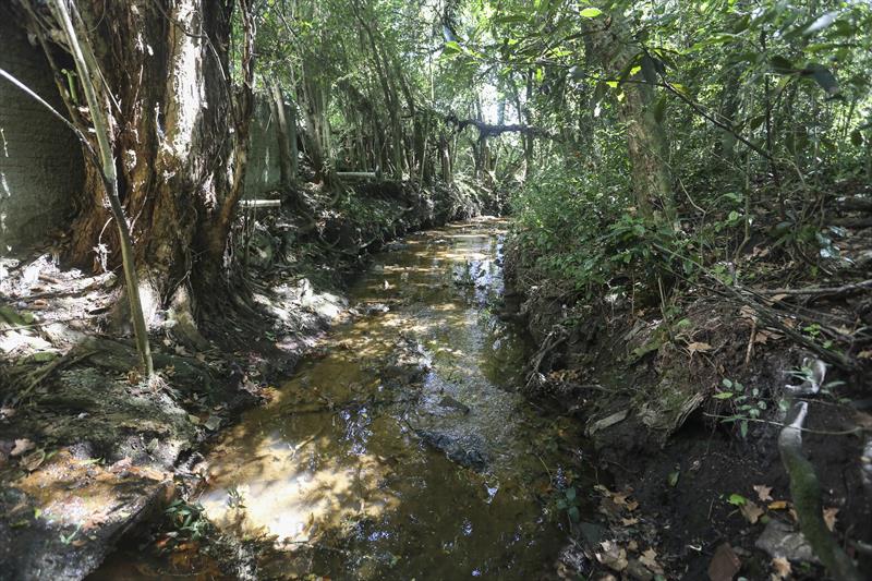 Ações de drenagem, dragagem e desassoreamento foram fundamentais para a recuperação dos rios, que ganharam novas identificações e sinalizações..
Foto: Luiz Costa/SMCS