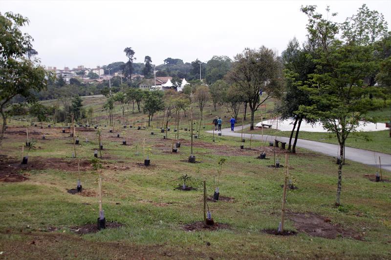 Desde 2019, Curitiba assume o compromisso de realizar o plantio de 100 mil árvores anualmente. Foto: Lucilia Guimarães/SMCS