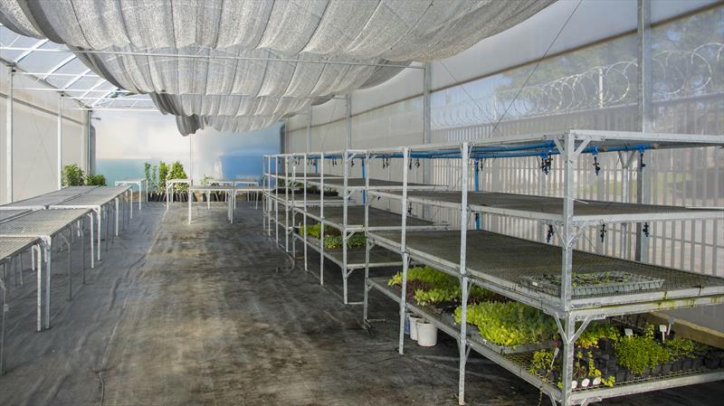 Startup curitibana testa irrigação inteligente e barata na Fazenda Urbana. Curitiba, 14/06/2021.
Foto: Levy Ferreira/SMCS