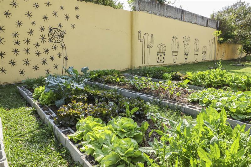 Horta escolar é laboratório vivo de comida saudável e sustentabilidade, Rede Municipal de Educação na CIC. Curitiba, 20/09/2021. Foto: Hully Paiva/SMCS