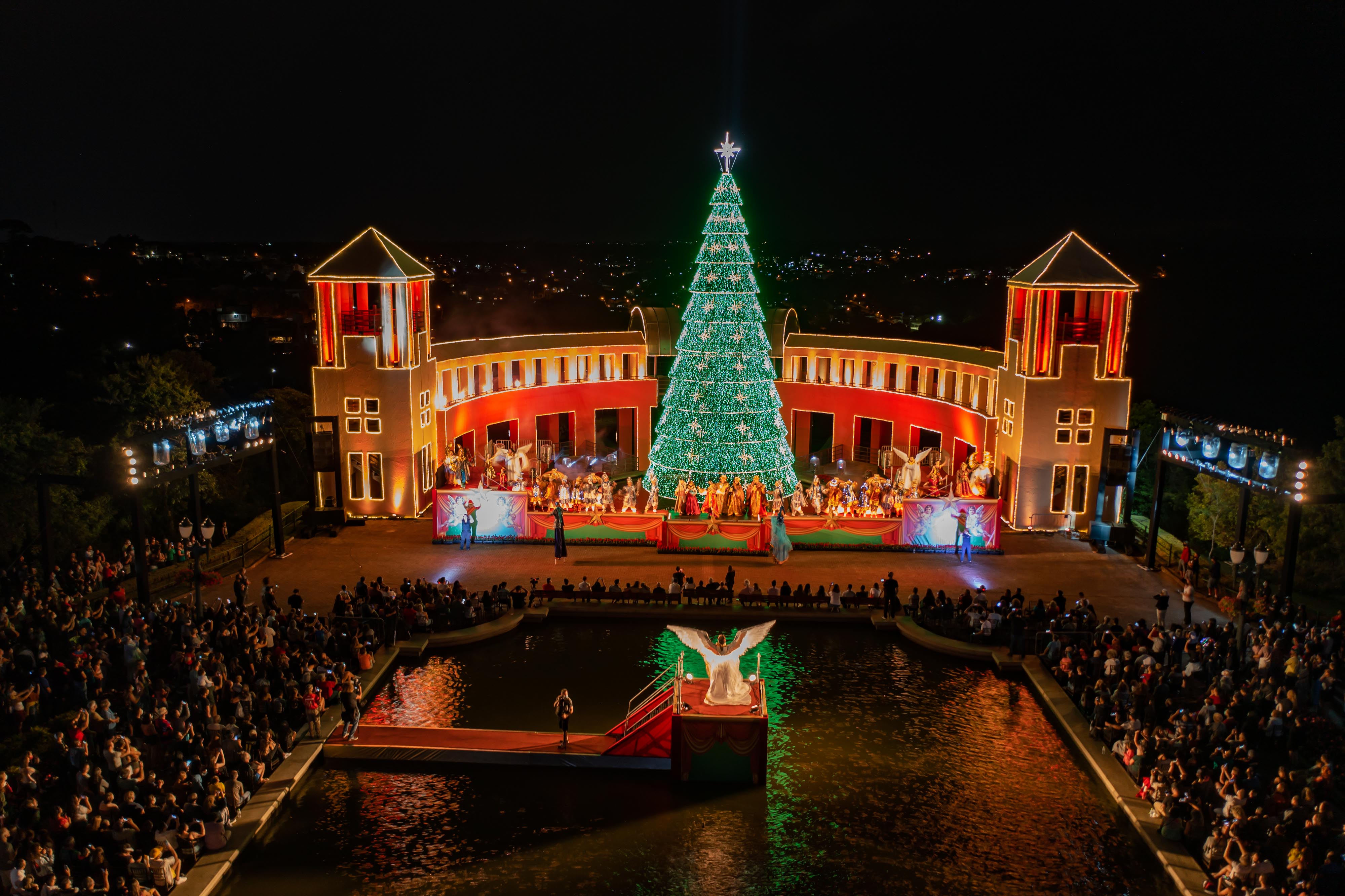 Figura de Natal Luminosa para Jardim e Fachada - Papai Noel e Árvore de  Natal - Tudo Natal - O Melhor Preço em Pisca Pisca e Iluminação de Natal!