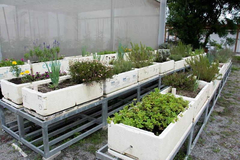 Na Fazenda Urbana, caixas de isopor viram hortas para apartamentos e outros pequenos espaços. Curitiba, 05/01/2022.
Foto: Levy Ferreira/SMCS