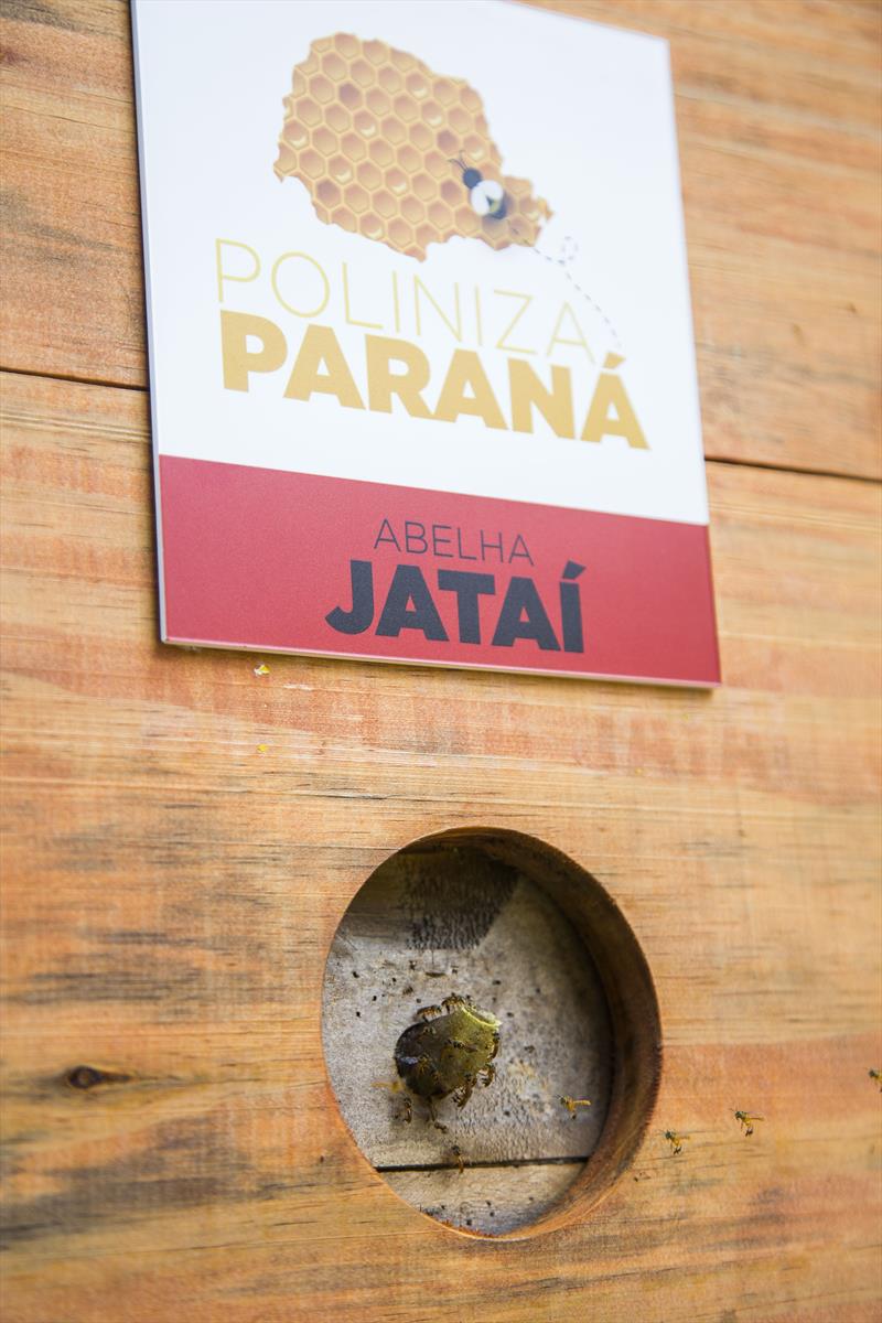 Governo do Estado lança o programa Poliniza Paraná, inspirado nos Jardins de Mel da Prefeitura de Curitiba. Curitiba, 20/01/2022. Foto: Pedro Ribas/SMCS