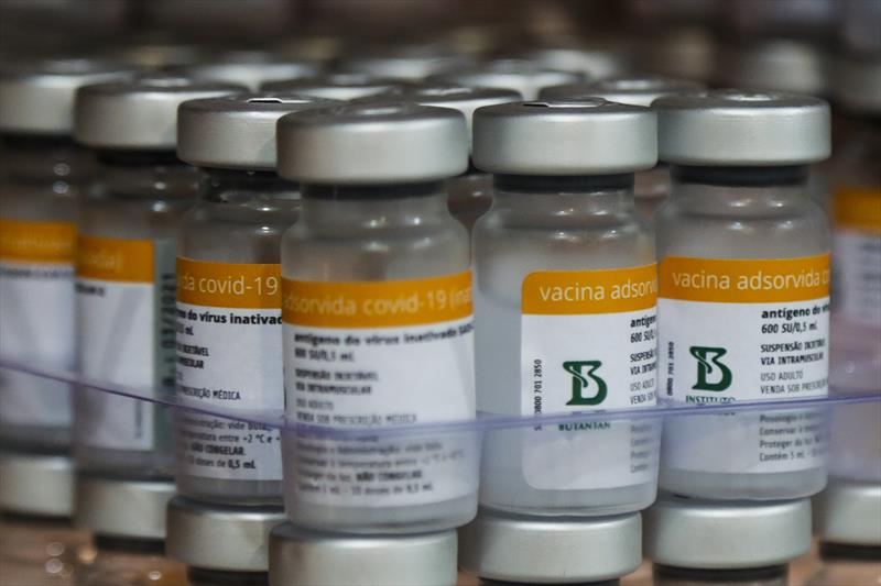 Curitibinhas vacinados com Coronavac recebem a segunda dose na próxima semana. Foto: Pedro Ribas/SMCS