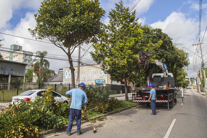 As árvores da Rua Inácio Lustosa, no São Francisco, passam por podas de manutenção e remoção de ervas de passarinho. 
Foto: Valdecir Galor/SMCS