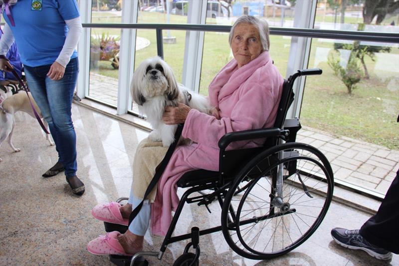 Inovador, Hospital do Idoso completa dez anos como referência no SUS de Curitiba.
- Na imagem, Projeto Amigo Bicho.
Foto: Divulgação