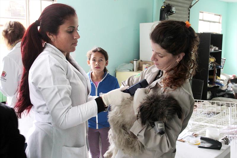 A Rede de Proteção Animal da Prefeitura de Curitiba está cadastrando consultórios e clínicas veterinárias que disponham de serviços de identificação de animais - leitores de microchip.
Foto: Rafael Silva  (arquivo)