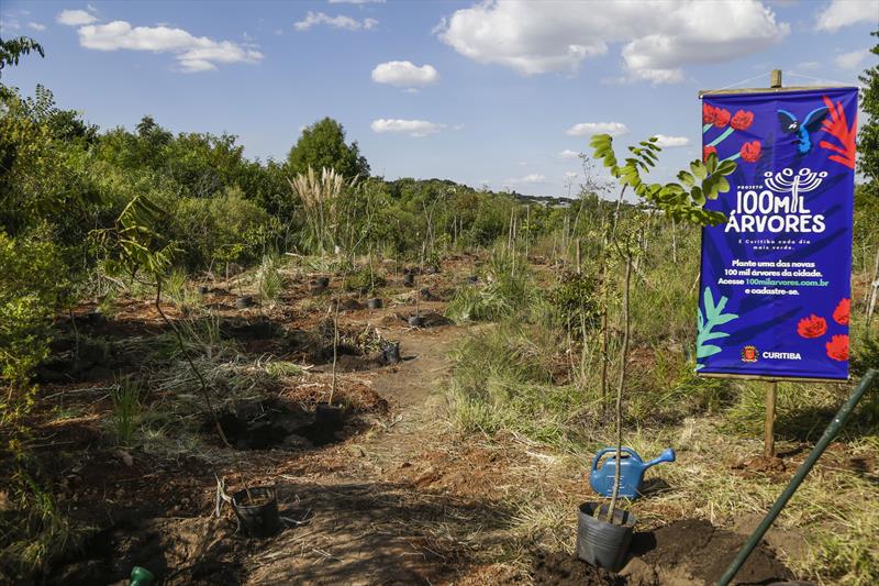 Plantio de árvores do desafio das 100 mil Árvores. Foto: Pedro Ribas/SMC