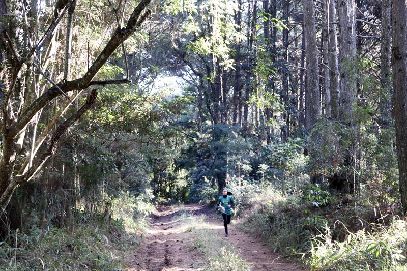 Quartel do Boqueirão, treino da equipe de corrida de orientação, esporte na natureza que acontece em meio ao bosque preservado existente dentro da unidade militar. Curitiba, 30/06/2022. Foto: Lucilia Guimarães/SMCS