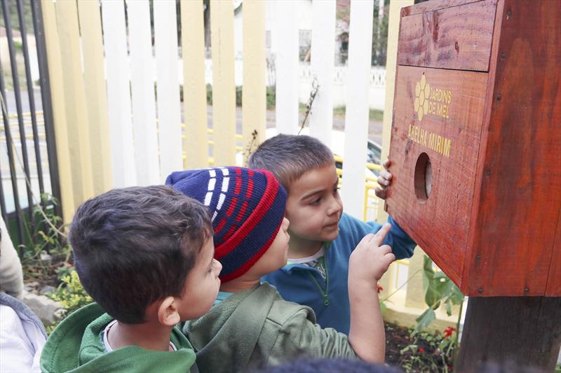 Depois de capturar com sucesso seu enxame de abelhas nativas, o Centro Municipal de Educação Infantil Uberaba agora tem a sua própria caixa do projeto Jardins de Mel da Prefeitura de Curitiba.
Foto: Lucilia Guimarães/SMCS