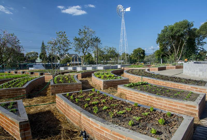 Faróis, parques e Fazenda Urbana oferecem opções gratuitas e diversificadas.
- Na imagem, Fazenda Urbana do Cajuru.
Foto: Levy Ferreira/SMCS