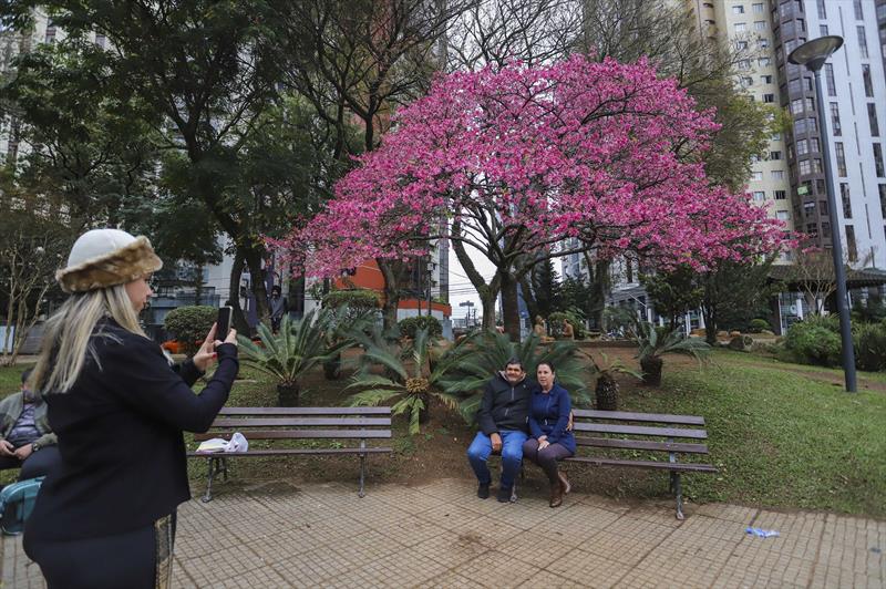 Instalação de cameras de segurança na Praça do Japão. - Na imagem,  a Professora Karine Russo e os pais Rosemary e Odival Omito. 
Curitiba, 13/07/2022. 
Foto: Daniel Castellano / SMCS