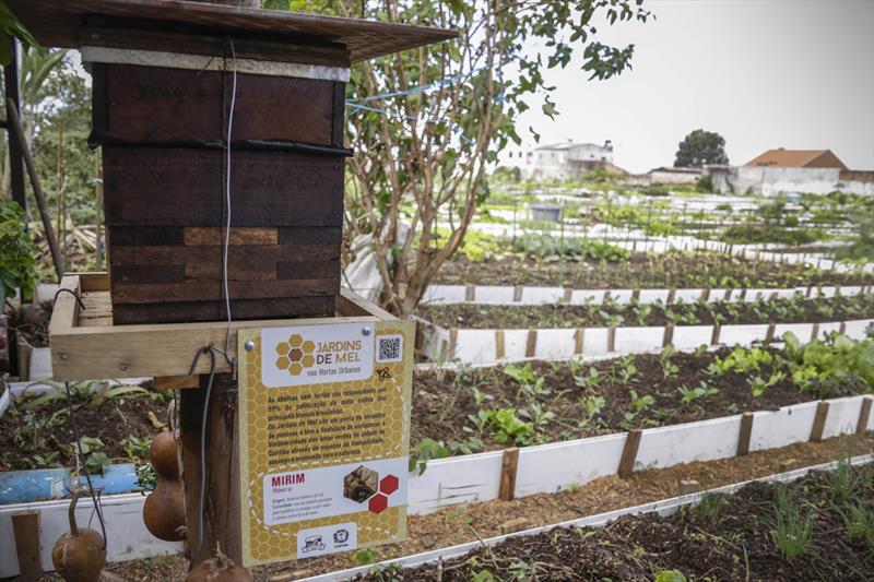 Jardins de Mel, que se espalham por vários espaços da Prefeitura e reúnem charmosas casinhas repletas de abelhas sem ferrão. Foto: Luiz Costa /SMCS 