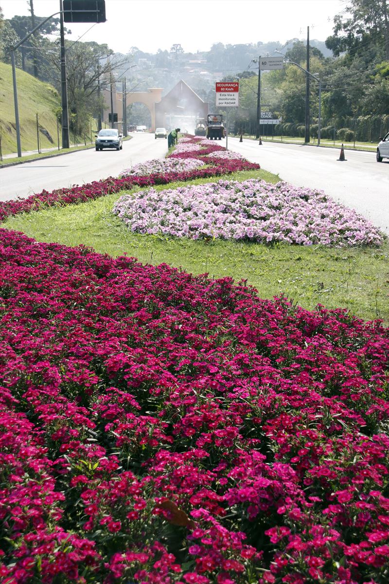 Petúnias rosas, begônias e bocas-de-leão são alguns exemplos de flores da estação que começam a dar nova cor a cidade. Foto: Lucilia Guimarães/SMCS