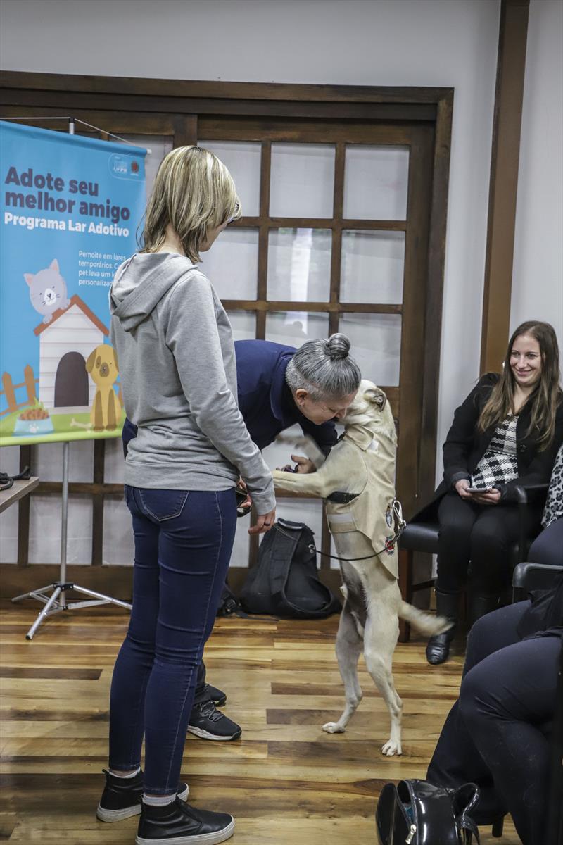 Curitiba promove ações em estilo test-drive para incentivar adoção de cães. Curitiba, 04/10/2022. Foto: Hully Paiva/SMCS