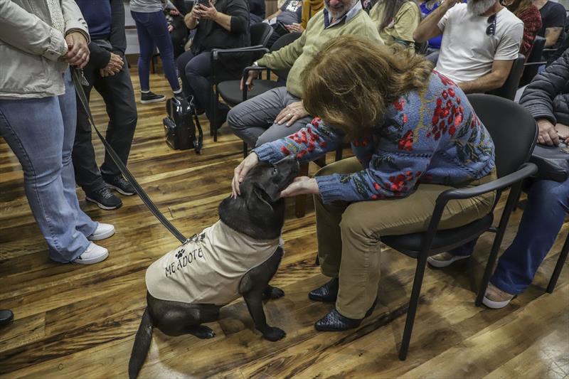Curitiba promove ações em estilo test-drive para incentivar adoção de cães. Curitiba, 04/10/2022. Foto: Hully Paiva/SMCS
