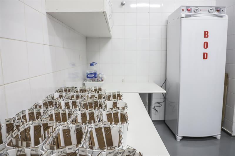 Novo laboratório de entomologia da SMS, análise dos ovos coletados por meio das armadilhas ovitrampas para auxiliar no combate ao mosquito da dengue. Curitiba, 28/10/2022. Foto: Hully Paiva/SMCS