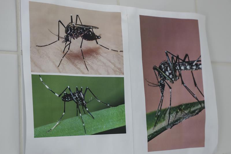 Novo laboratório de entomologia da SMS, análise dos ovos coletados por meio das armadilhas ovitrampas para auxiliar no combate ao mosquito da dengue. Curitiba, 28/10/2022. Foto: Hully Paiva/SMCS