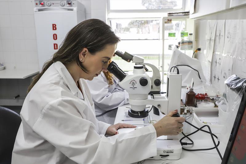 Novo laboratório de entomologia da SMS, análise dos ovos coletados por meio das armadilhas ovitrampas para auxiliar no combate ao mosquito da dengue. Curitiba, 28/10/2022. Foto: Hully Paiva/SMCS