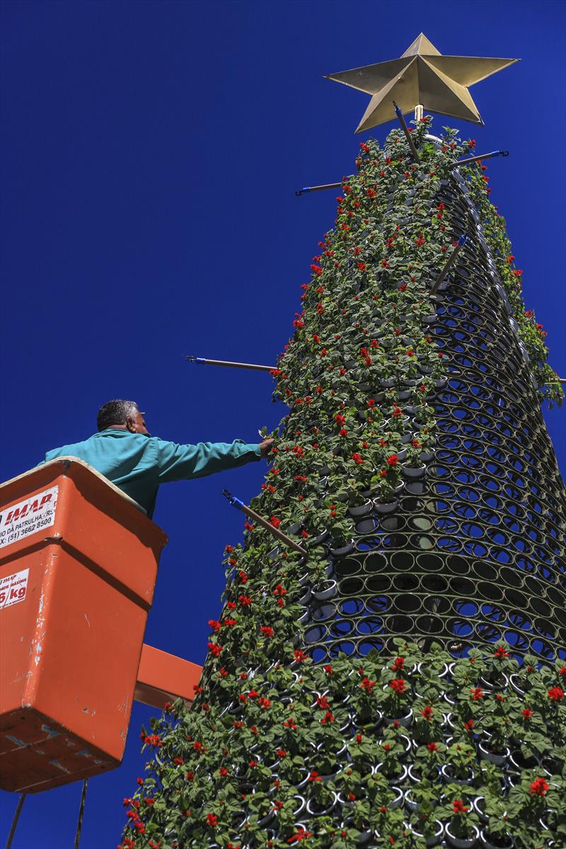 Decoração da árvore de natal do Largo da Ordem com 5 mil flores de sálvia.
Curitiba, 18/11/2022.
Foto: José Fernando Ogura/SMCS