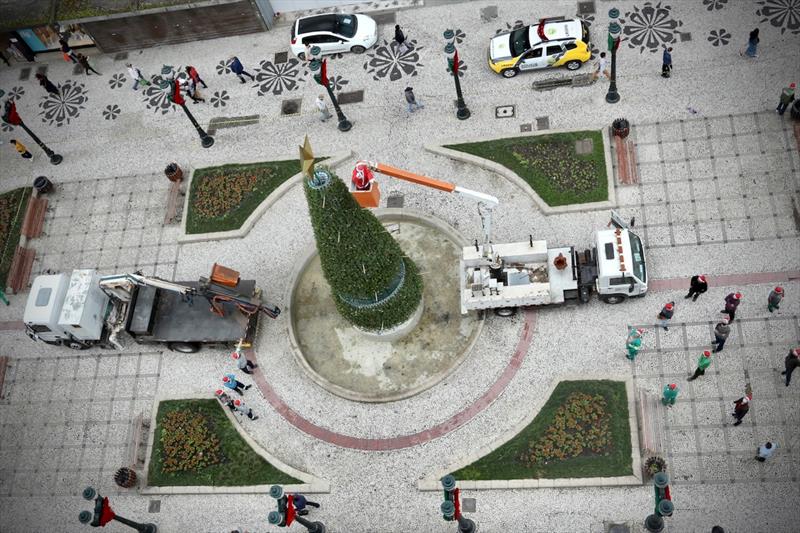 Montagem da Árvore da Vida na Rua XV de Novembro. Foto: Luiz Costa/SMCS