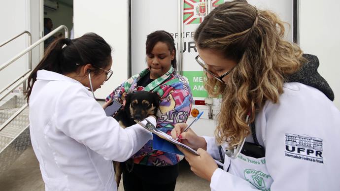Rede promove ação clínica para cães em julho promove ação clínica para cães em julho.
Foto: Lucilia Guimarães/SMCS