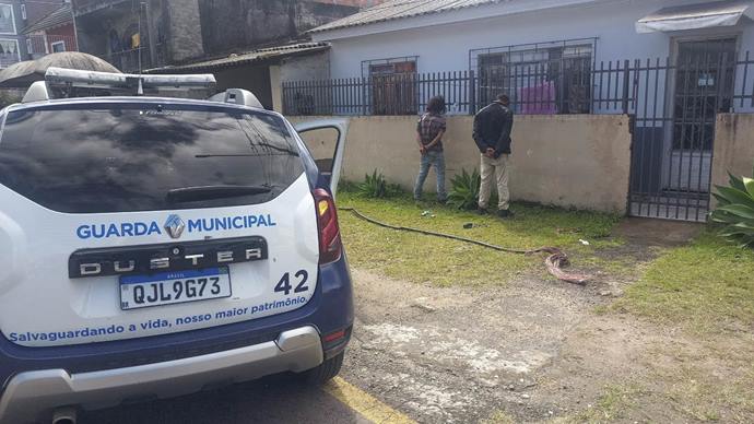 Guardas municipais prendem suspeitos de furto de cabos no Cajuru.
Foto: Divulgação