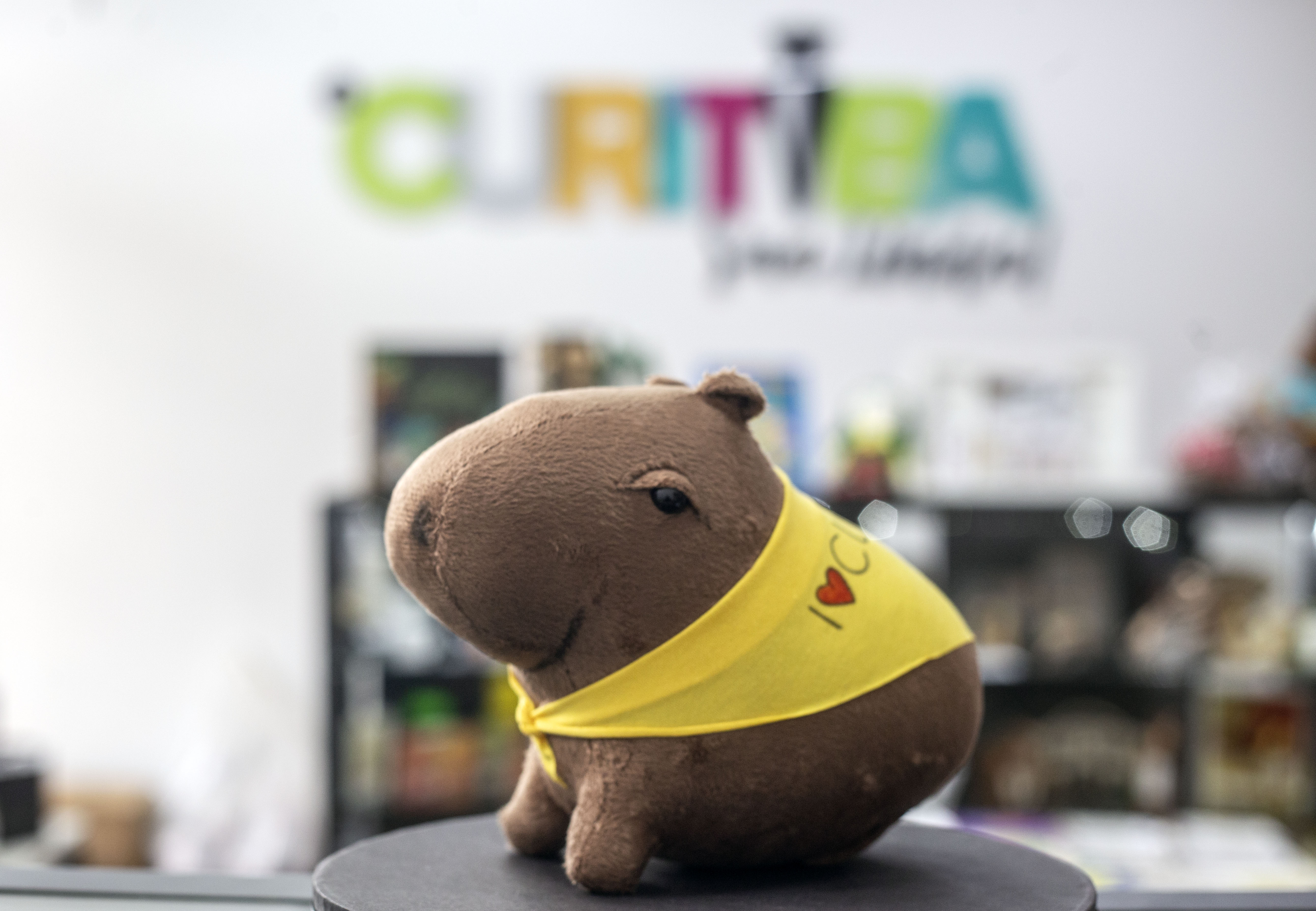 A Capivara Curitibana