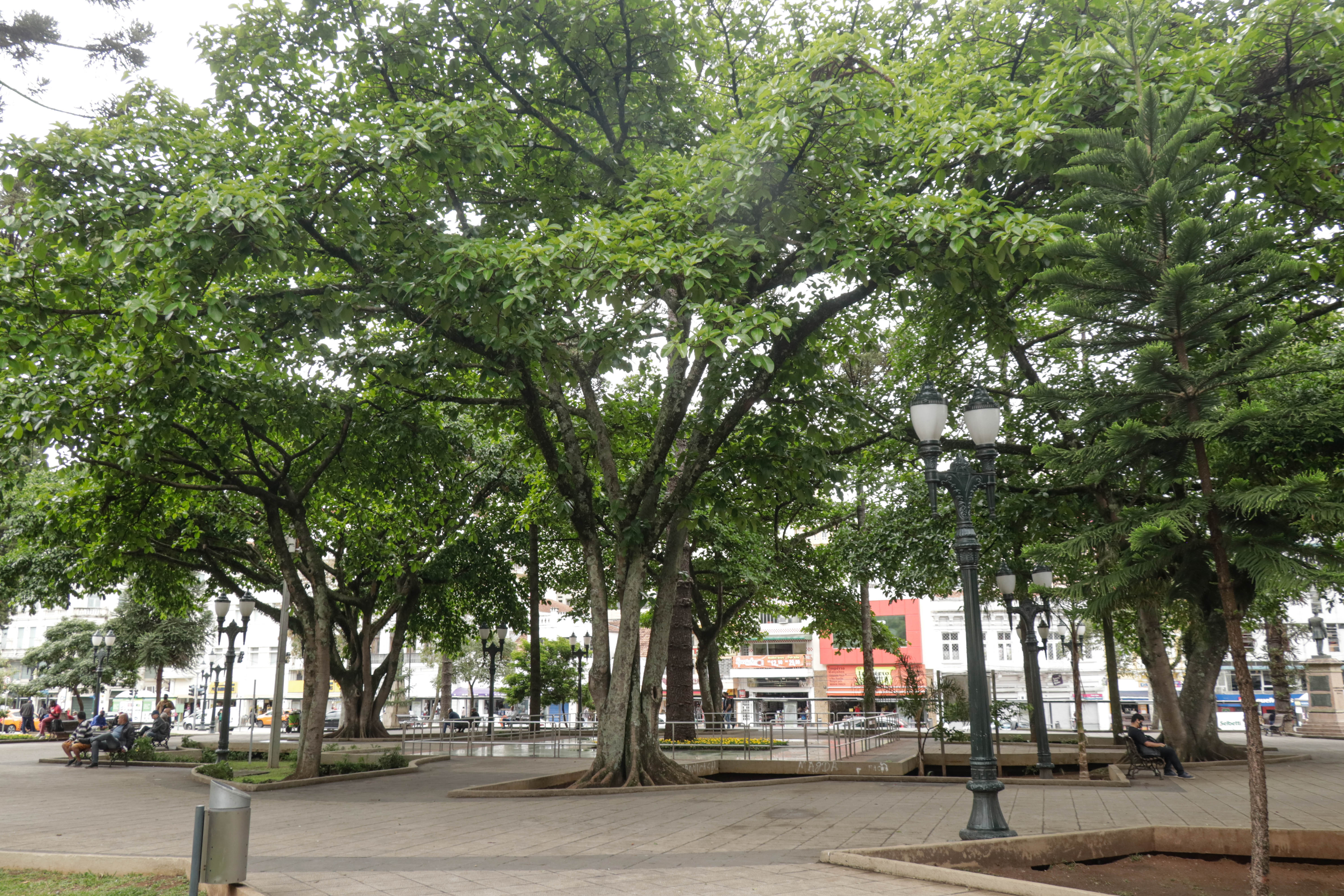 Prefeitura de Curitiba comemorando o dia da consciência negra. 👀 : r/brasil