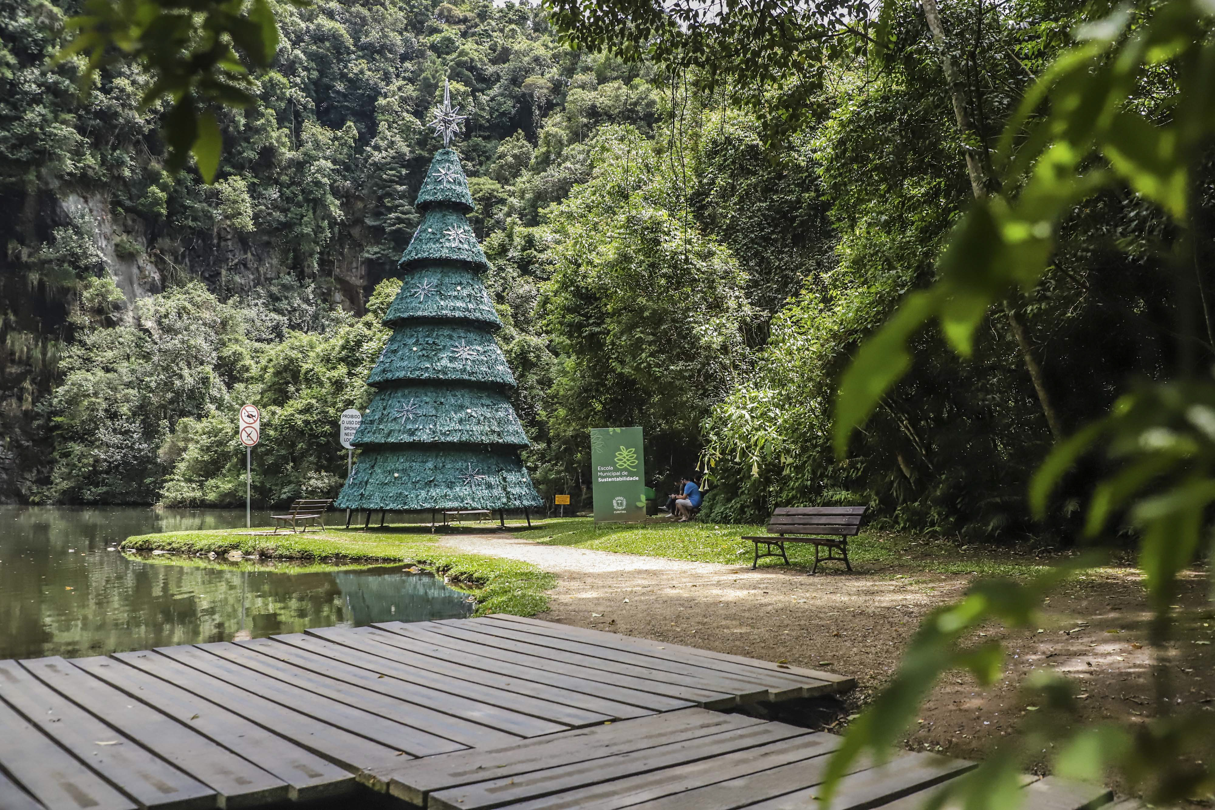 A Encantada Floresta