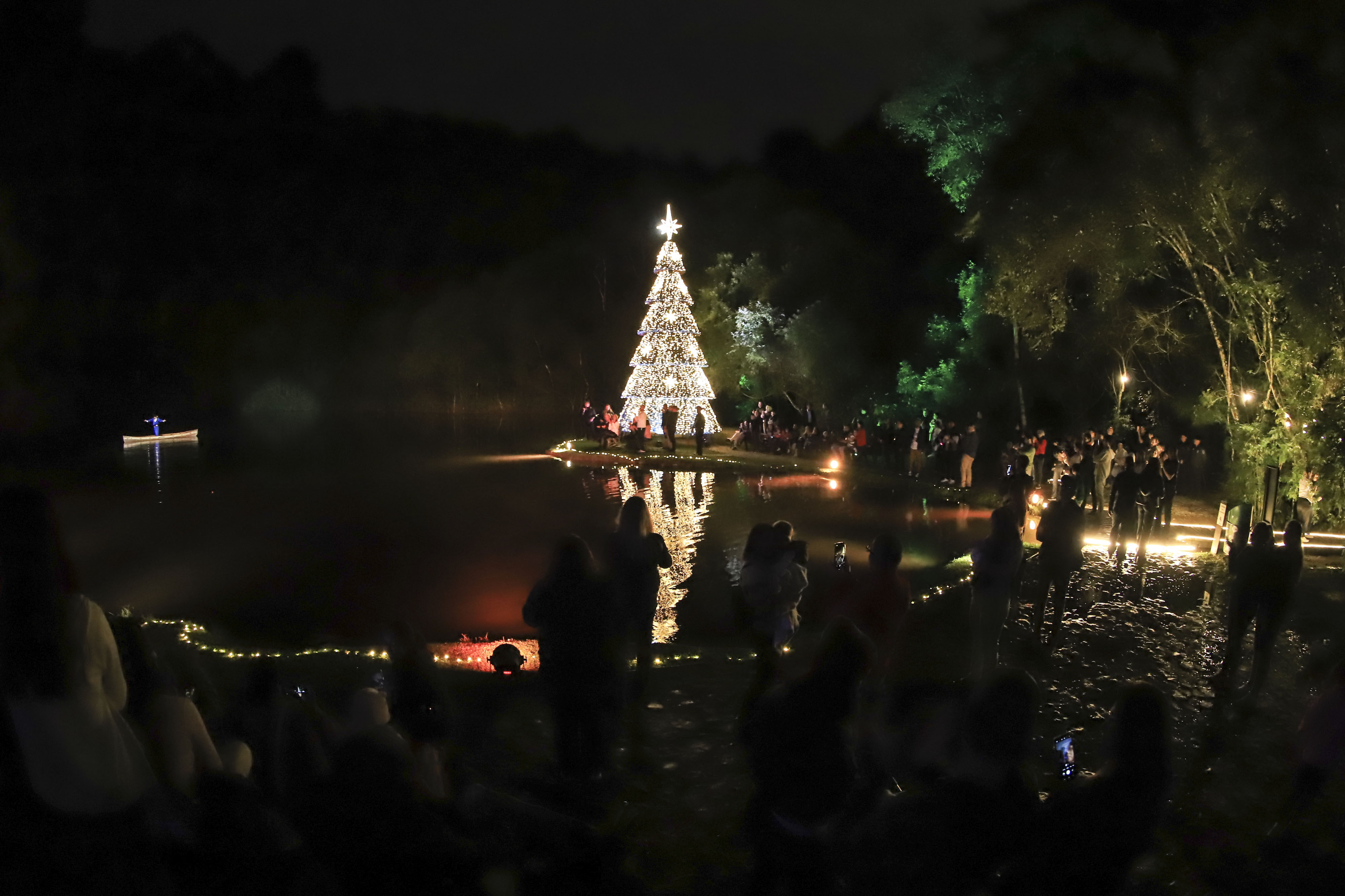 A entrada da floresta à noite.