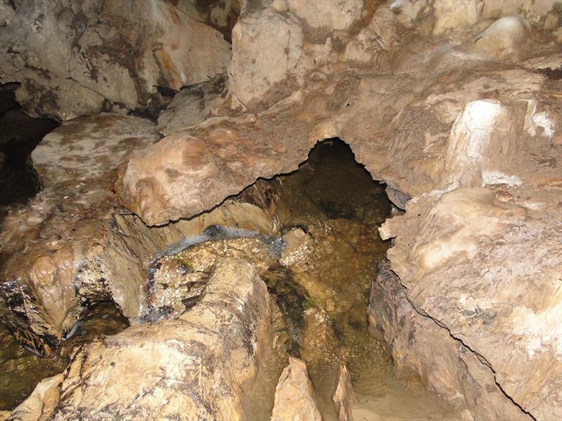 Estão localizadas no município a 133 km de Curitiba as duas maiores cavernas já catalogadas no Paraná: a Gruta Dá a Volta, com 2,5 mil metros de extensão, e a Gruta do Varzeão, com 1,9 mil metros.
Foto: Divulgação